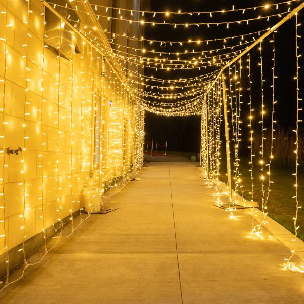 Tunnel of Lights rental in Brampton & Mississauga
